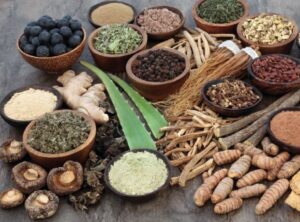 Ayurvedic Products Manufacturing