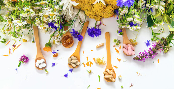 Best Ayurvedic Medicine Manufacturers in Amritsar