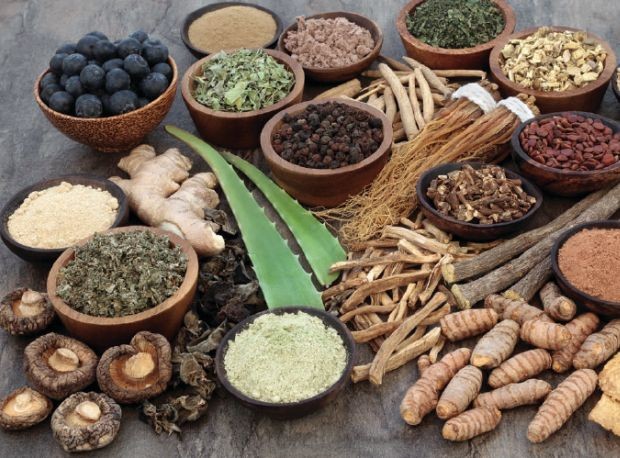 Ayurvedic PCD Pharma Franchise in Kazakhstan