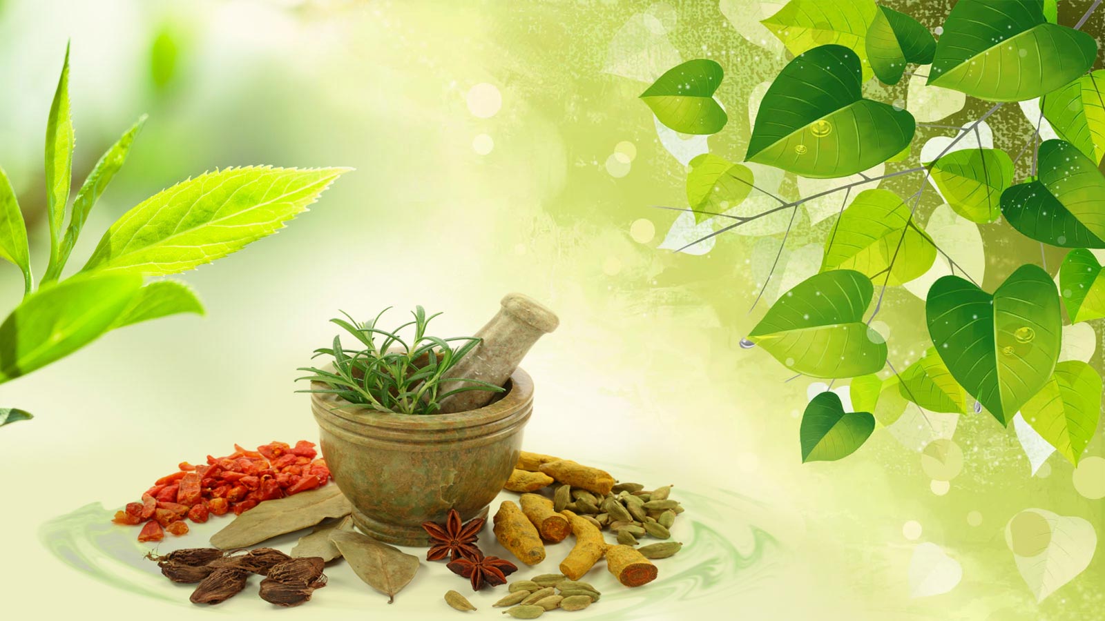 ayurvedic medicine franchise