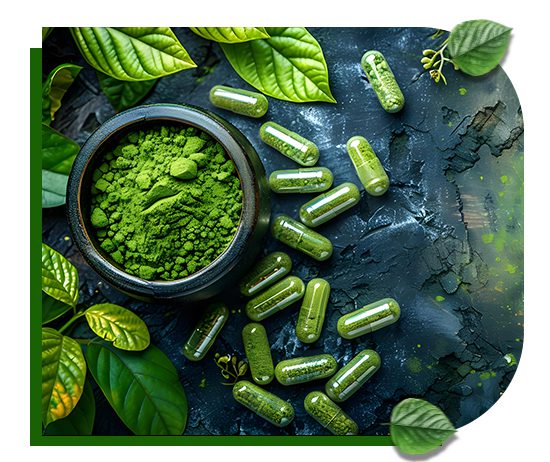 herbal pcd company franchise