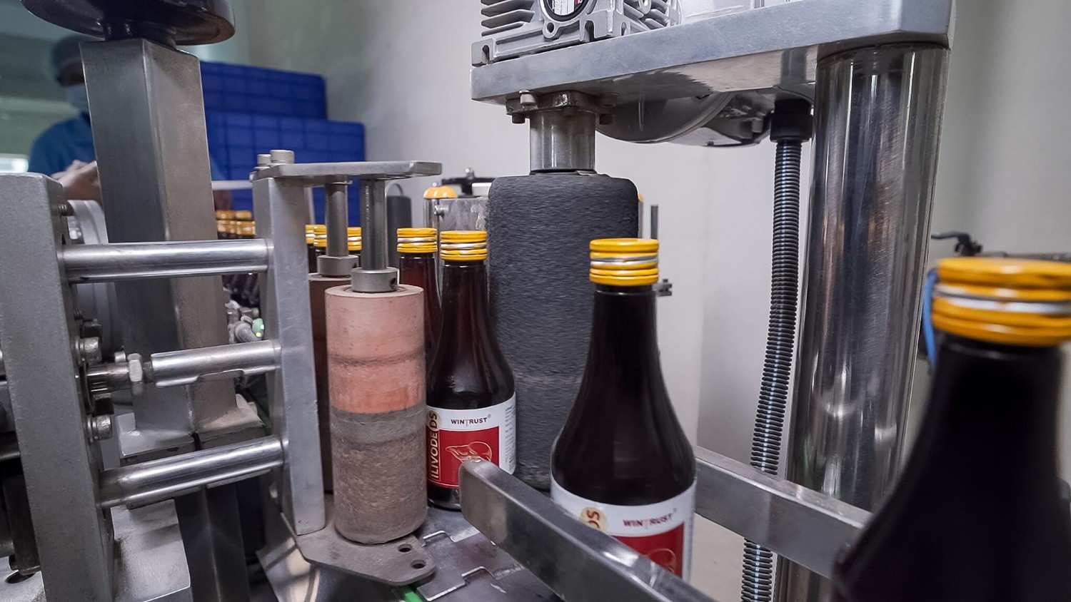 ayurvedic pharma company