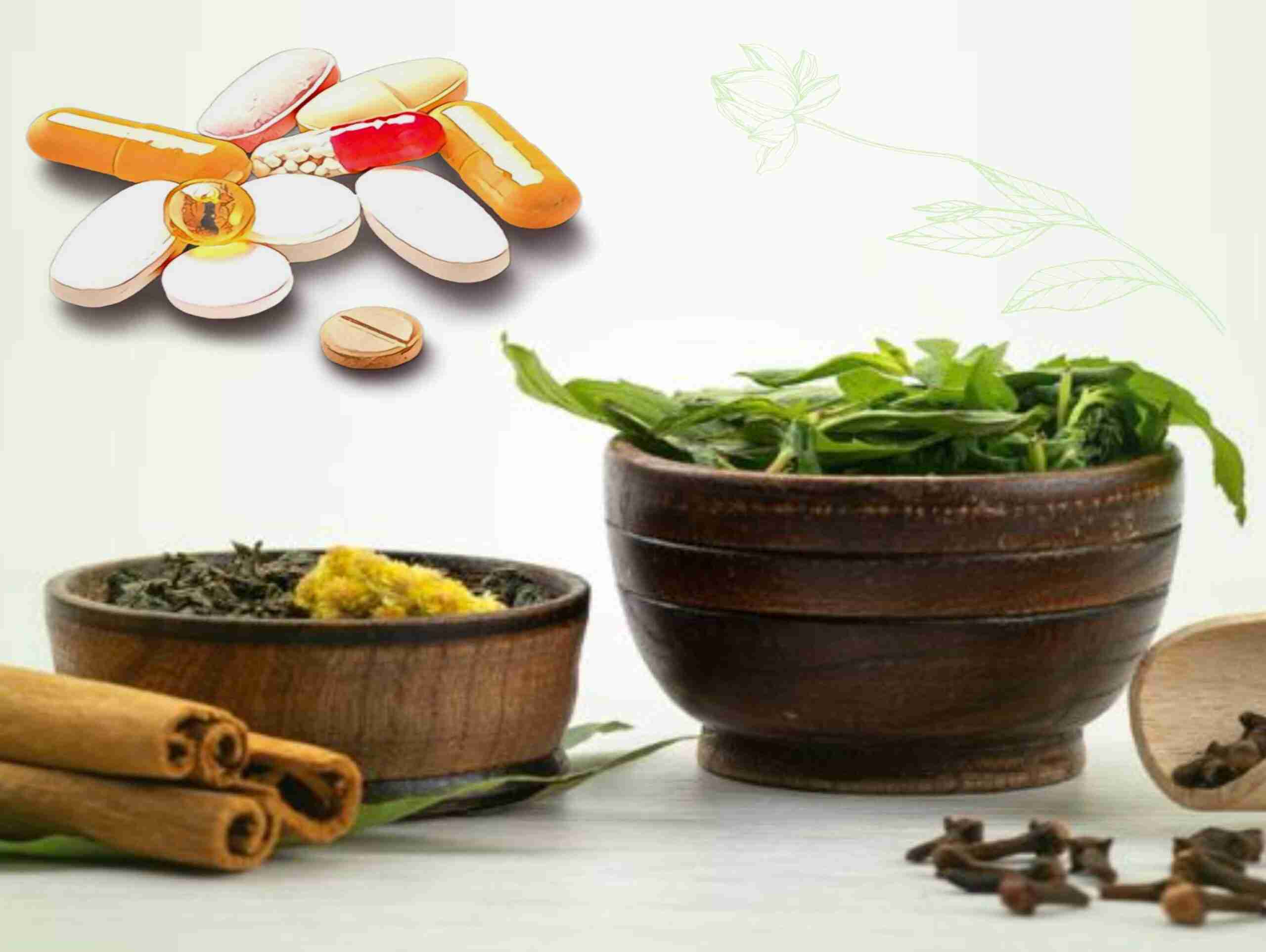 ayurvedic medicine company