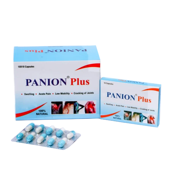 Panion Plus Capsules