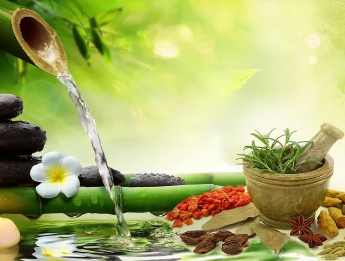 Ayurvedic Manufacturing Company Offering PCD Pharma Franchise | Wintrust LTD